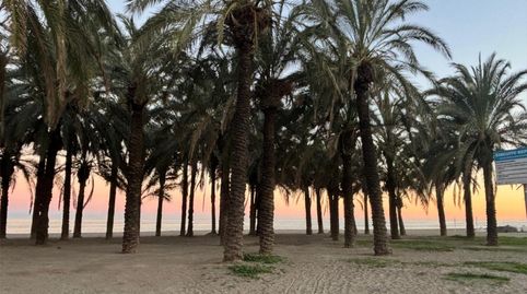 Photo 3 of Study for rent in Calle la Colina, 1, La Colina, Torremolinos