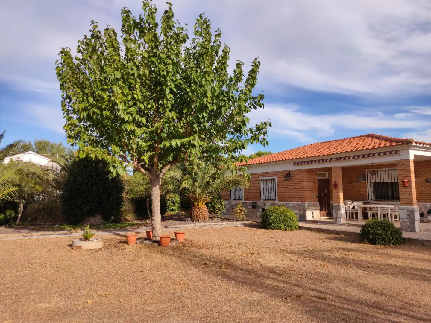 Vista exterior de Casa o chalet en venta en Pozuelo de Calatrava con Jardín privado, Piscina y Amueblado