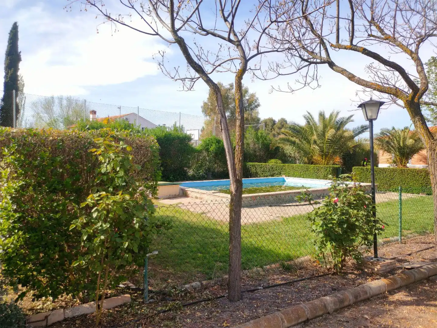 Casa o chalet en venta en Calle de la Piscina, 19, Pozuelo de Calatrava Jardín de Casa o chalet en venta en Pozuelo de Calatrava con Piscina