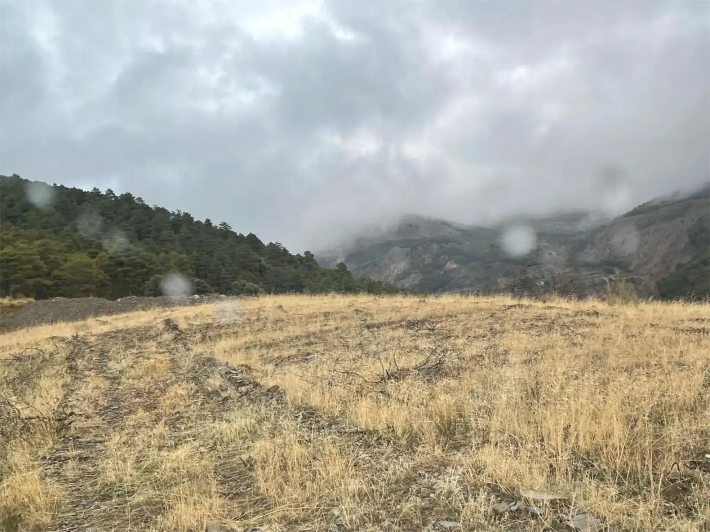 Country homes for sale in Bacares