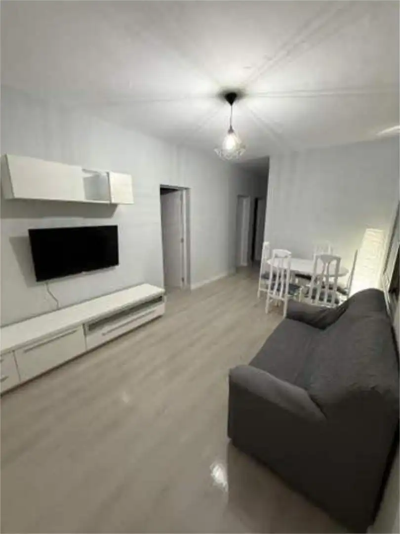 Sala d'estar de Pis de lloguer en Las Palmas de Gran Canaria amb Es permeten mascotes