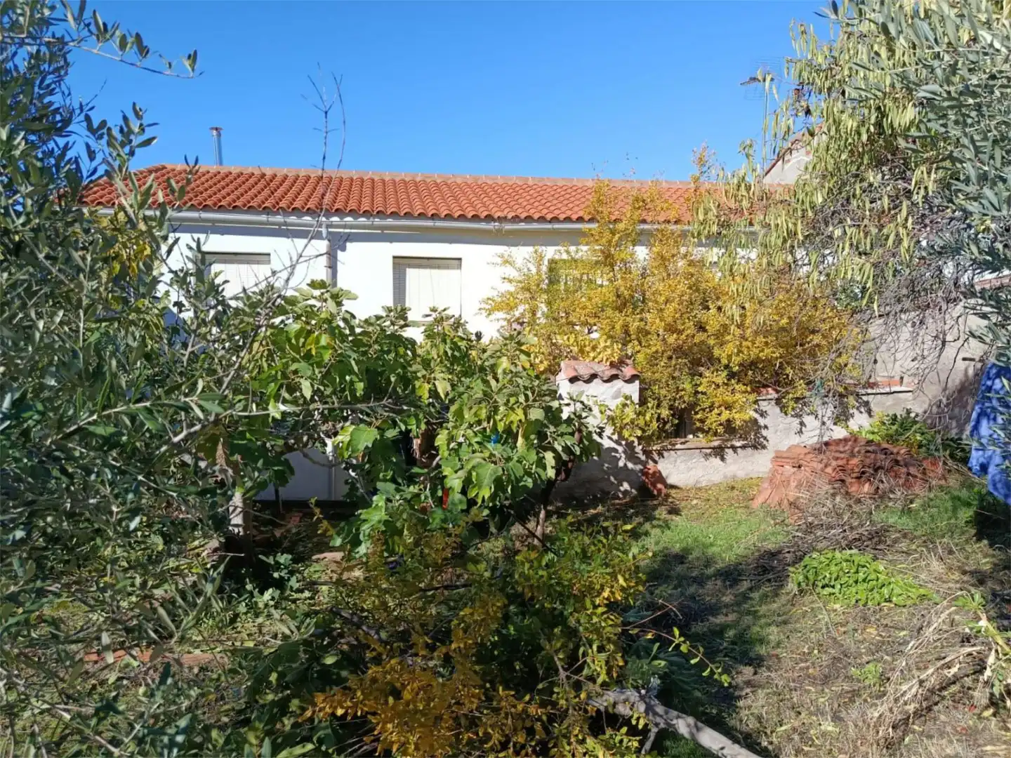 Casa adosada en venda a Calle Redondal, 10, Sevilleja de la Jara Jardí de Casa adosada en venda en Sevilleja de la Jara amb Calefacció, Jardí privat i Terrassa