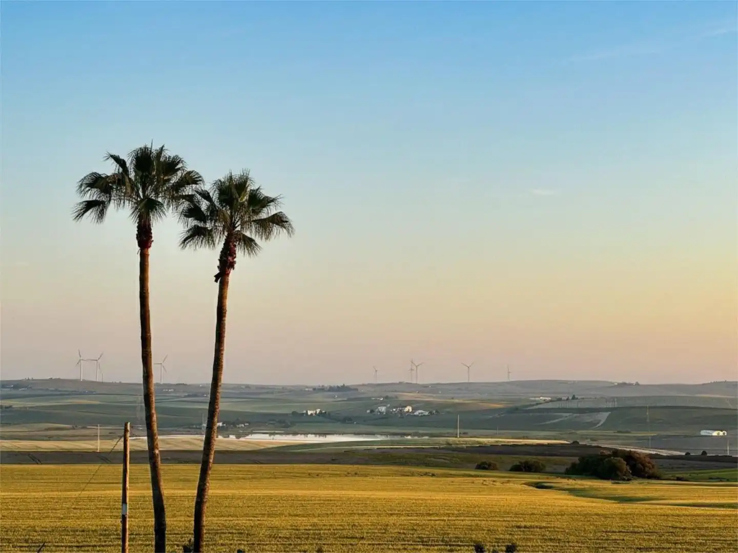 Vista exterior de Finca rústica en venda en El Puerto de Santa María amb Aire condicionat, Terrassa i Piscina