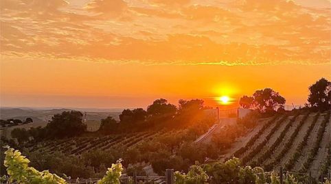 Foto 4 de Finca rústica en venta en Encinillas, 1, Arcos de la Frontera, Cádiz