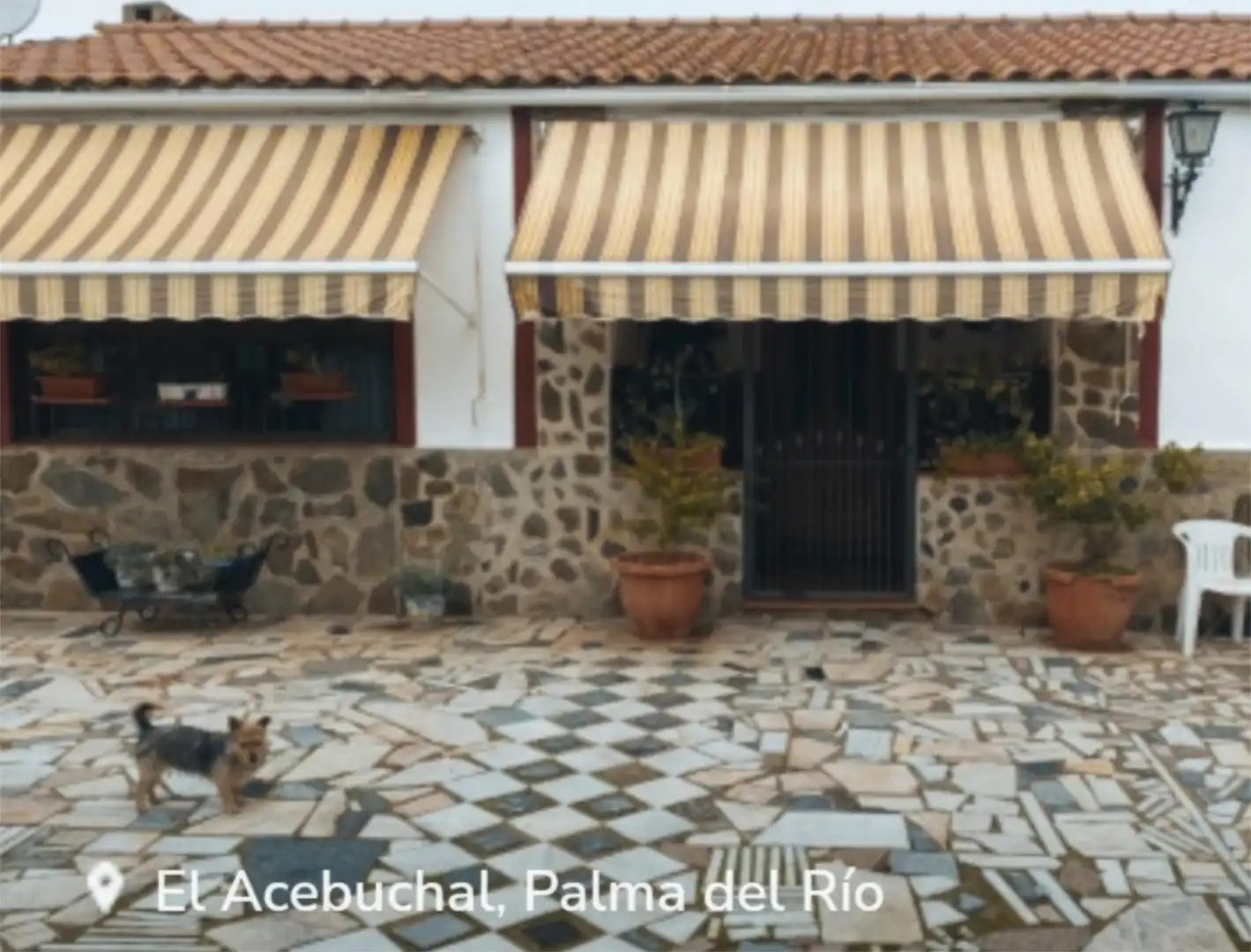 Country homes for sale in Calle del Acebuchal, 74, Palma del Río Exterior view of Country homes for sale in Palma del Río with Air Conditioner and Swimming Pool