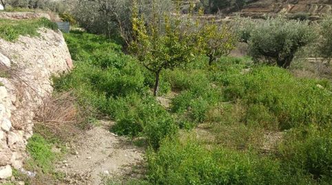 Duplex for sale in Calle Fuente Blanca, 39, Alhama de Murcia ciudad, Alhama de Murcia - image 3 Photo 3 of Duplex for sale in Calle Fuente Blanca, 39, Alhama de Murcia ciudad, Alhama de Murcia