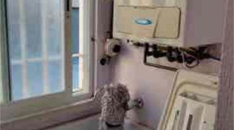 Photo 4 of Flat for sale in Guadix, Granada