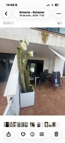 Piso en Alquiler en Calle de los Juegos de Atenas, 14 en El Toyo