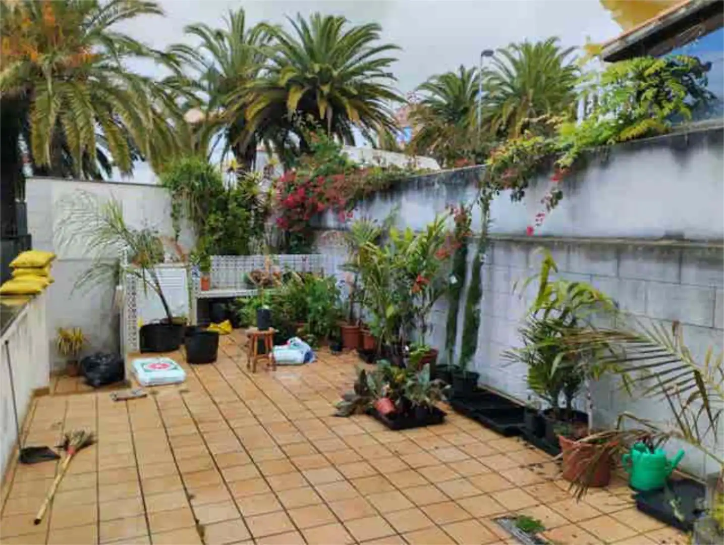 Jardín de Apartamento de alquiler en El Sauzal con Jardín privado, Terraza y Trastero