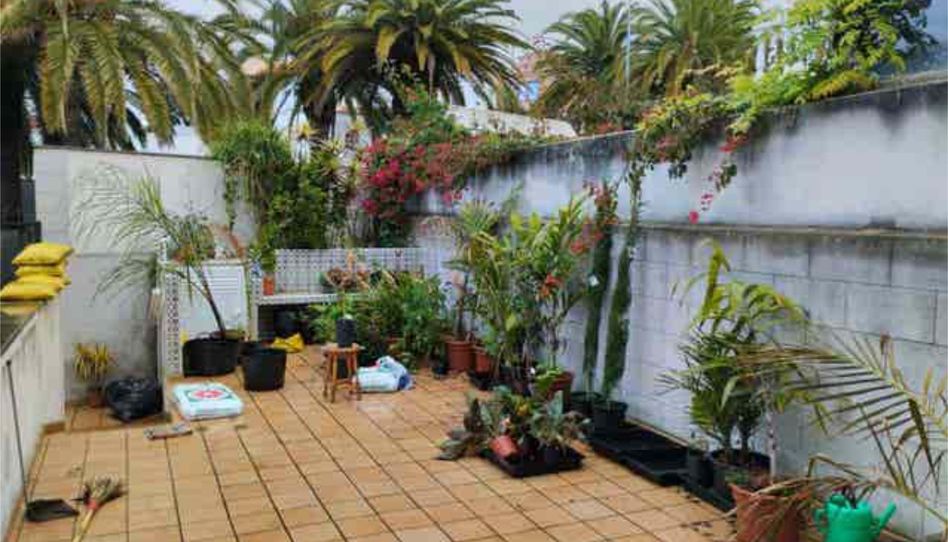 Apartamento de alquiler en El Sauzal, Santa Cruz de Tenerife - imagen 1 Foto 1 de Apartamento de alquiler en El Sauzal, Santa Cruz de Tenerife