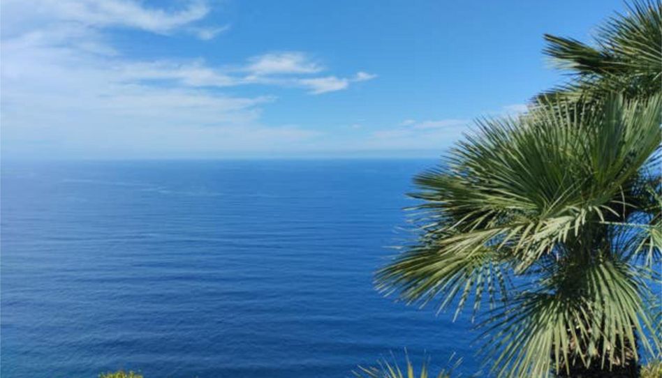 Apartments for rent in El Sauzal, Santa Cruz de Tenerife - image 1 Photo 1 of Apartments for rent in El Sauzal, Santa Cruz de Tenerife