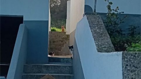 Foto 2 von Wohnung zum Verkauf in Santa María de Guía de Gran Canaria, Las Palmas
