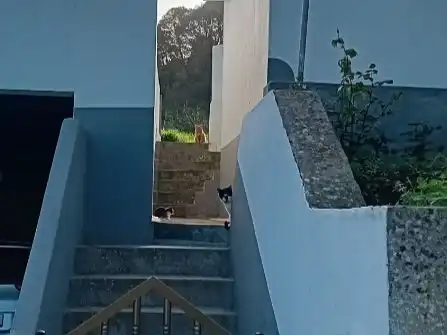Außenansicht von Wohnung zum Verkauf in Santa María de Guía de Gran Canaria mit Terrasse