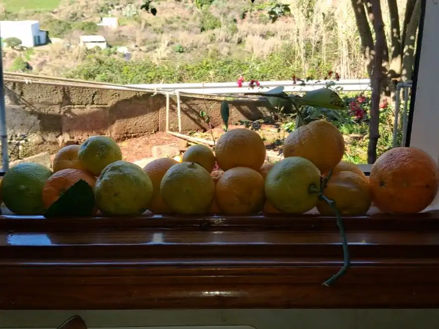 Garten von Wohnung zum Verkauf in Santa María de Guía de Gran Canaria mit Terrasse
