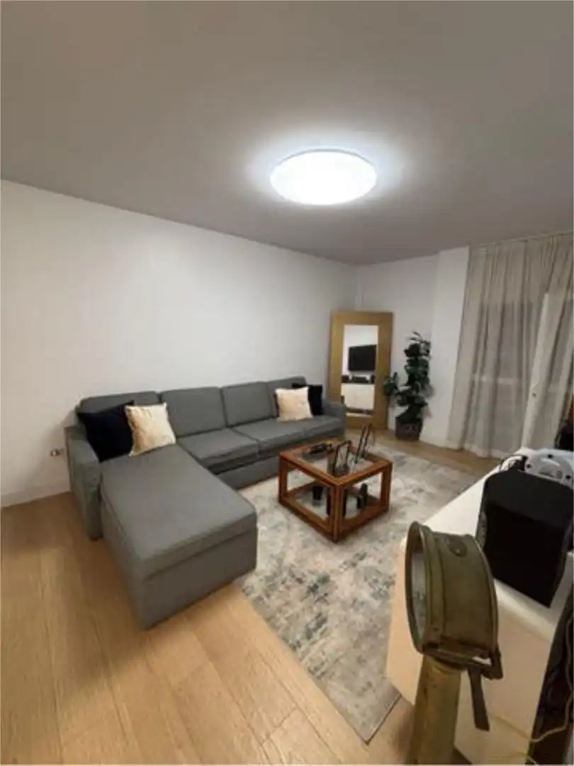 Sala d'estar de Apartament de lloguer en Las Palmas de Gran Canaria amb Moblat