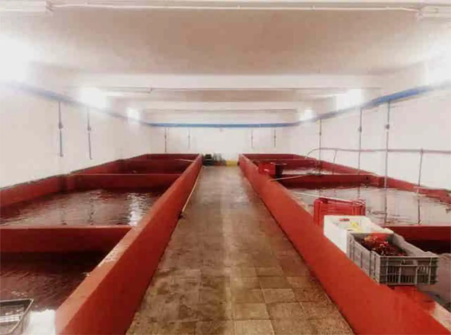 Premises for rent in Muxía