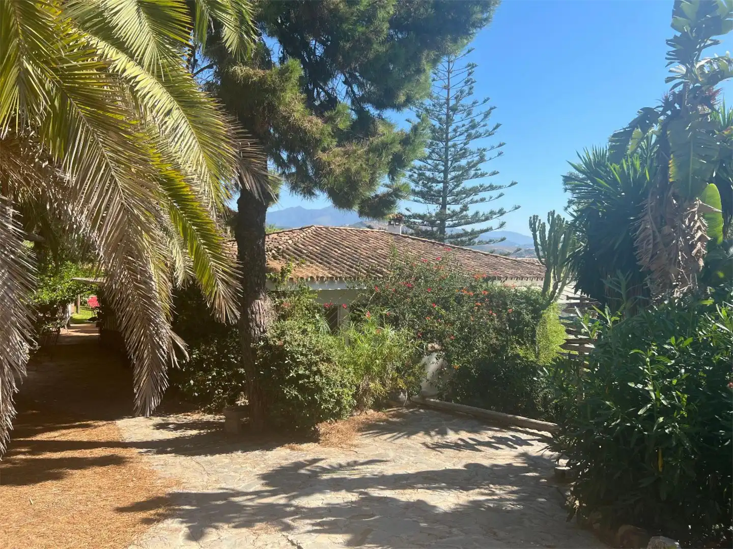 Vista exterior de Finca rústica en venta en Estepona con Aire acondicionado, Jardín privado y Terraza