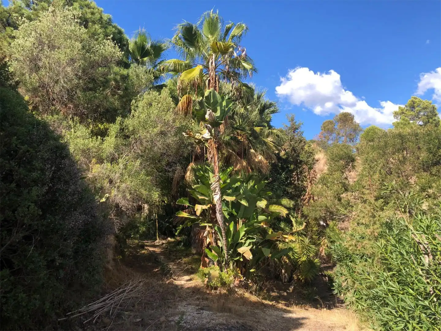 Finca rústica en venta en Avenida de la Resina, 71, La Concha - Resina Golf Vista exterior de Finca rústica en venta en Estepona con Aire acondicionado, Jardín privado y Terraza