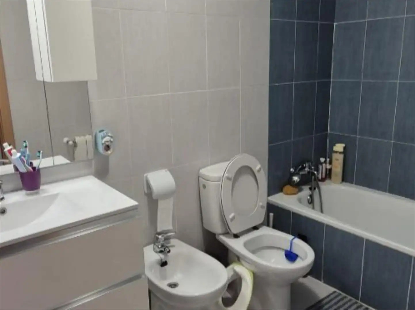 Baño de Casa o chalet en venta en Uceda con Terraza