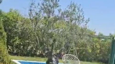 Photo 2 of Houses for rent in Calle Llanos de Cáceres, 69, La Cañada, Cáceres Capital