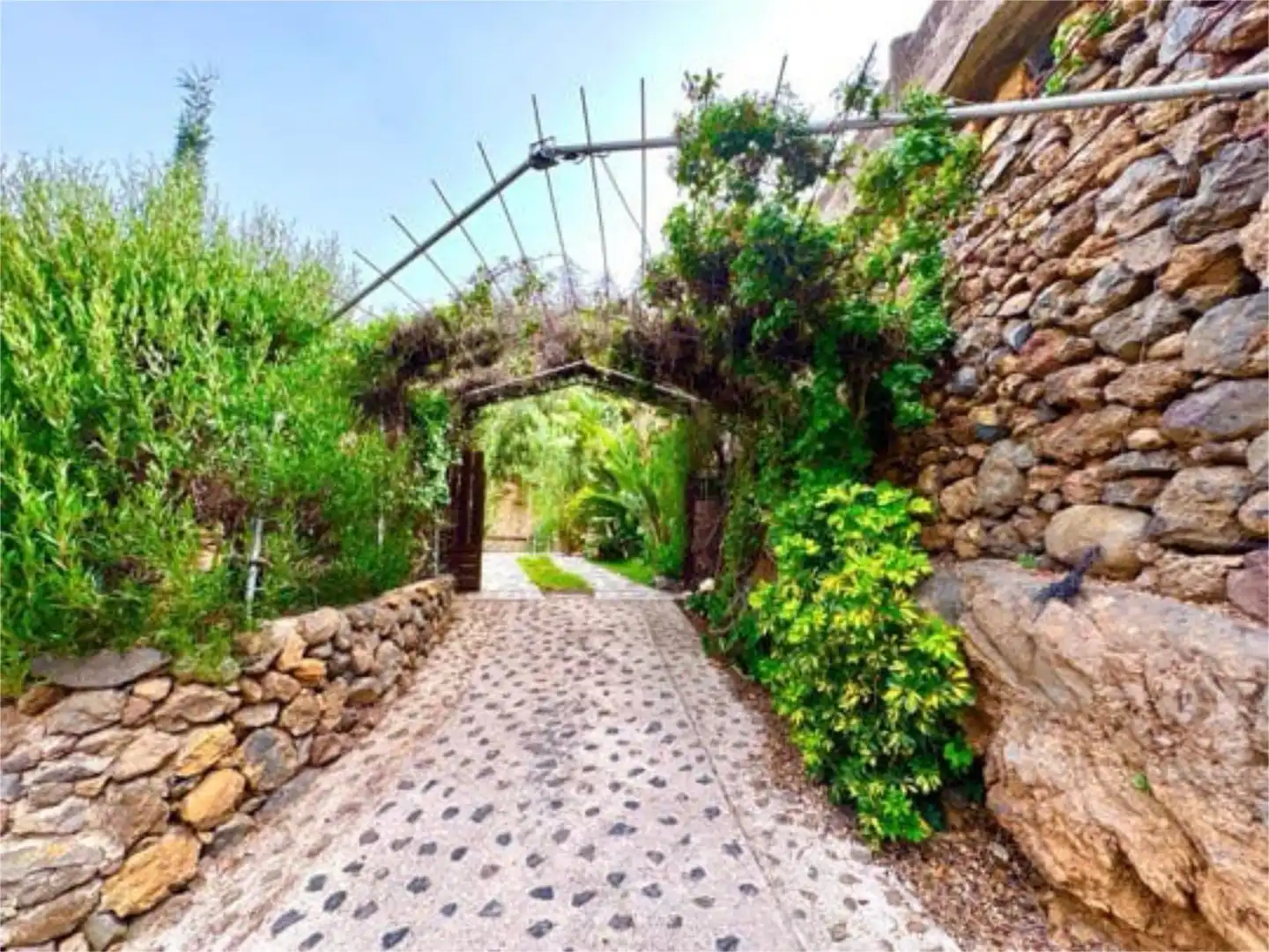 Jardí de Casa o xalet de lloguer en Arafo amb Jardí privat, Terrassa i Piscina