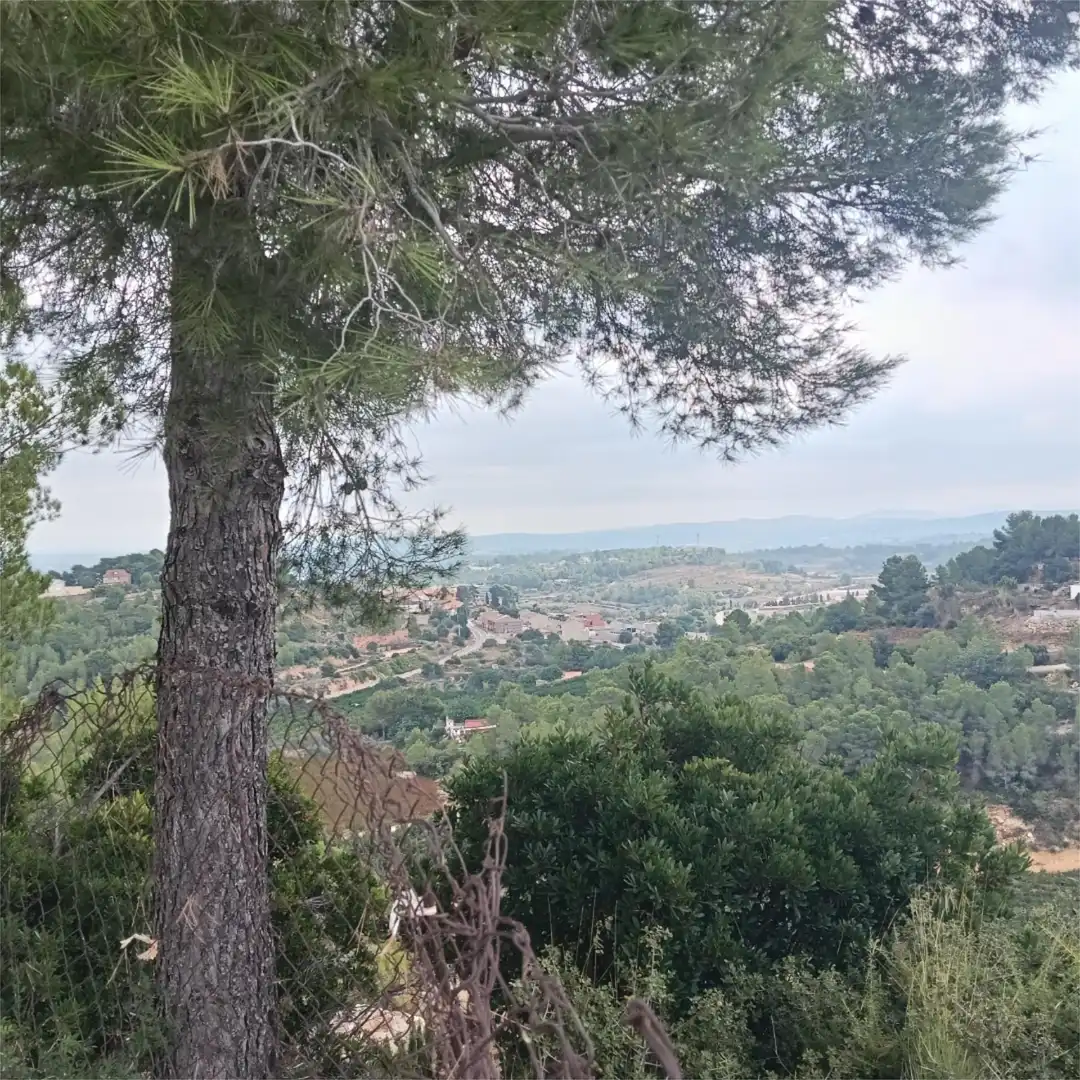 Vista exterior de Finca rústica en venta en Godelleta