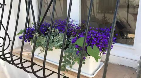 Foto 3 de Casa adosada de alquiler en Avenida de la Almadraba, 12, Pueblo Español - Coveta Fumá, El Campello