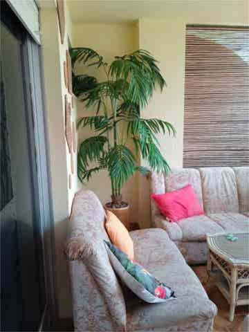 Piso en Alquiler en Les Palmeres