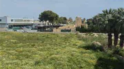 Photo 5 of Apartments for rent in Albufereta, Alicante / Alacant