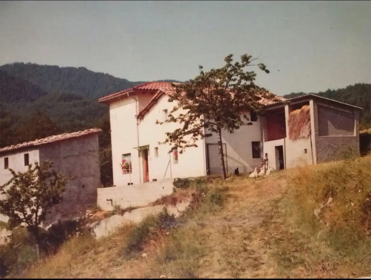 Vista exterior de Finca rústica en venta en Ripoll