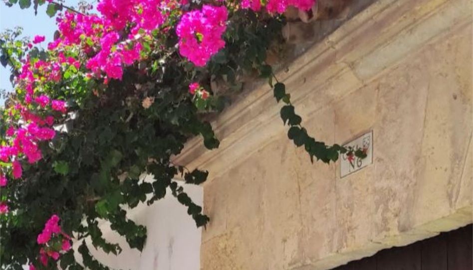 Apartments for rent in Calle Valderrama, 6, Casco Histórico - Ribera - San Basilio, Córdoba Capital - image 1 Photo 1 of Apartments for rent in Calle Valderrama, 6, Casco Histórico - Ribera - San Basilio, Córdoba Capital