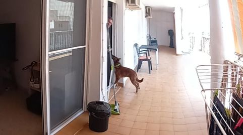 Flat for sale in Avinguda Aragonesa, 119, Grau - Quintanes, Amposta - image 2 Photo 2 of Flat for sale in Avinguda Aragonesa, 119, Grau - Quintanes, Amposta