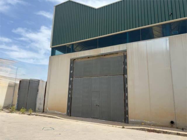 Nave industrial en Alquiler en Torre-Pacheco ciudad