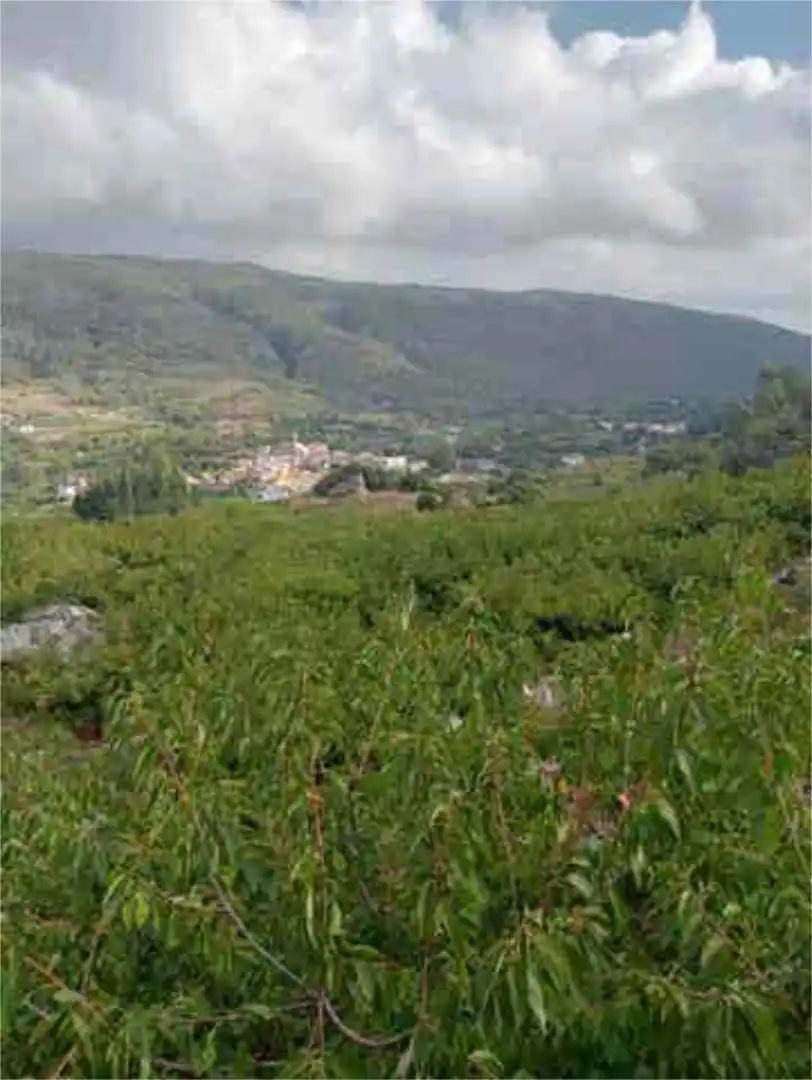 Vista exterior de Casa o chalet en venta en La Vall de Gallinera