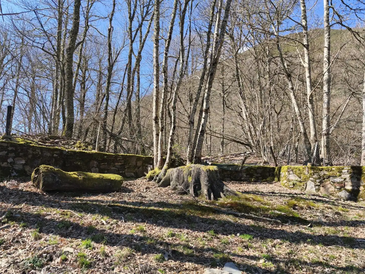 Land for sale in CN-10, 20, Cangas del Narcea Land for sale in Cangas del Narcea