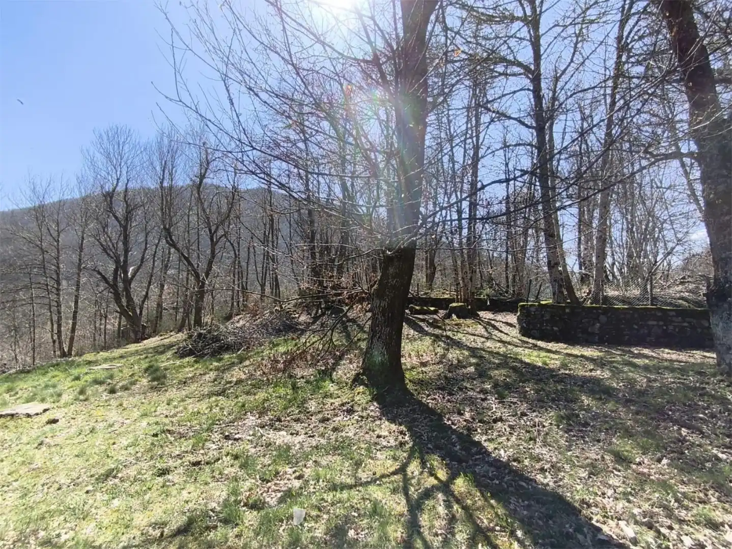 Land for sale in CN-10, 20, Cangas del Narcea Land for sale in Cangas del Narcea