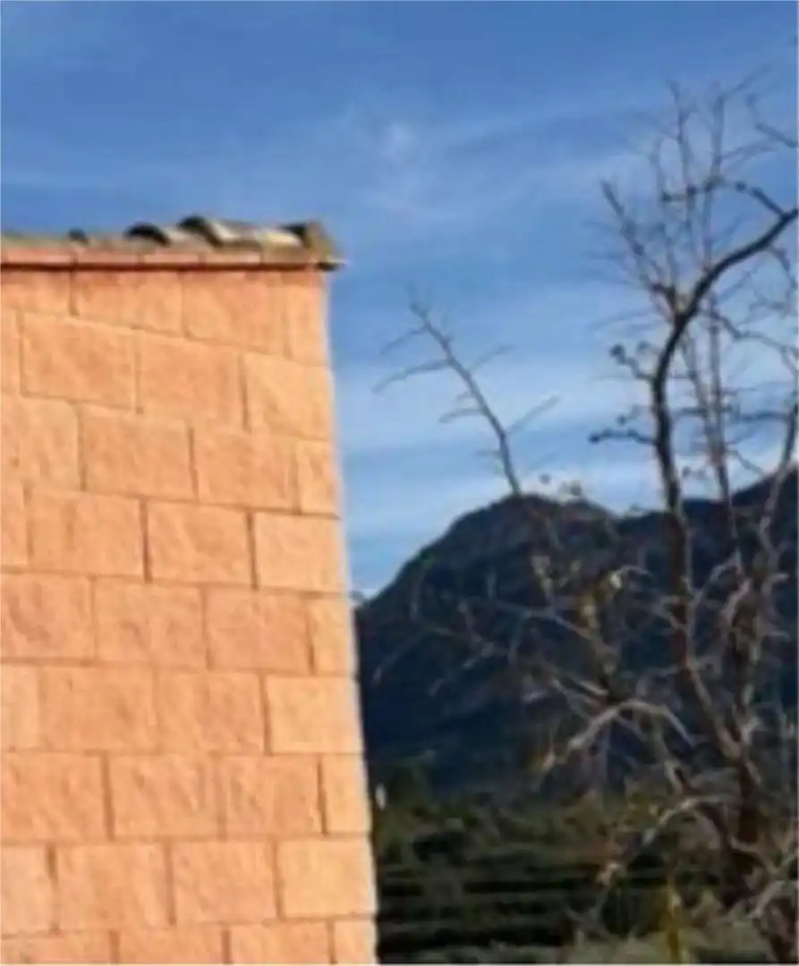 Vista exterior de Casa o chalet en venta en El Palomar