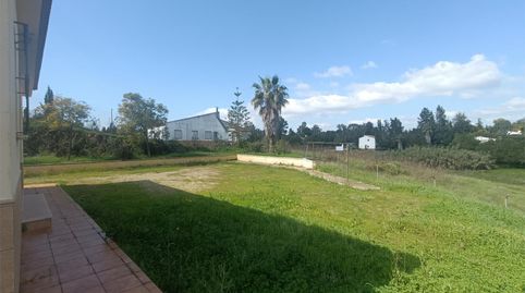 Photo 5 of Flat for sale in Camino Dehesa Paniajo, 13, Trigueros, Huelva