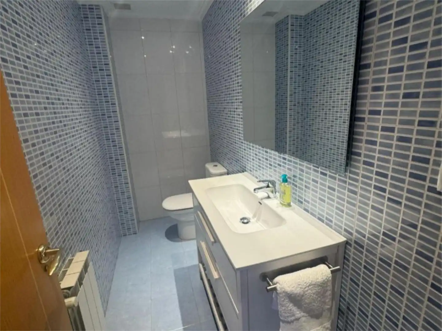 Flat for sale in Viella - Granda - Meres Bathroom of Flat for sale in Siero with Heating, Private garden and Parquet flooring