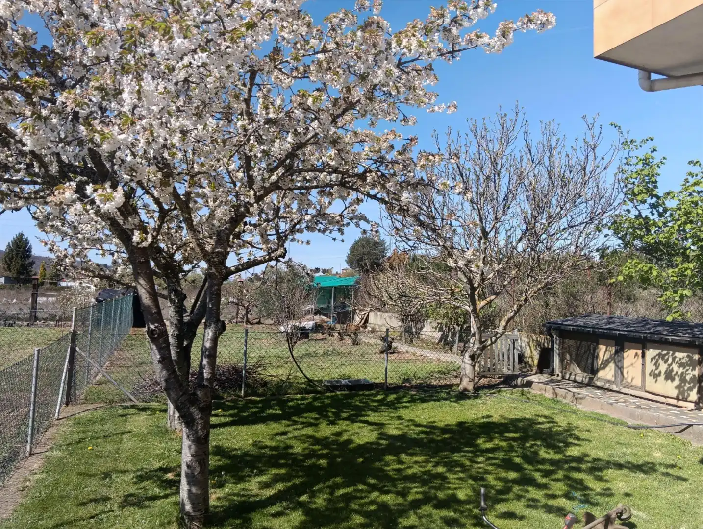 Casa o chalet en venta en Carretera Albares, Torre del Bierzo Jardín de Casa o chalet en venta en Torre del Bierzo con Jardín privado, Terraza y Piscina