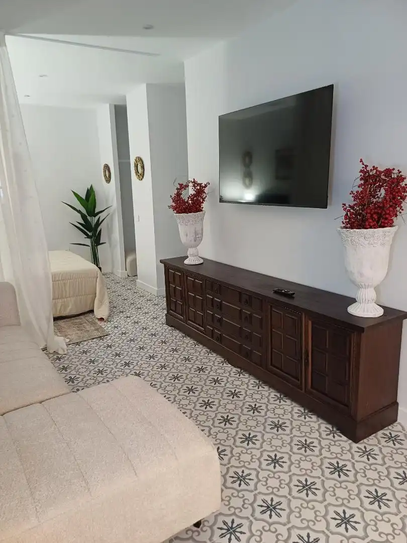 Living room of Flat for rent in Toledo  with Air Conditioner, Heating and Terrace