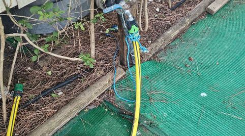 Foto 2 de Finca rústica en venta en Calle Luis M. Fernández, 13, Valdelagrana, El Puerto de Santa María