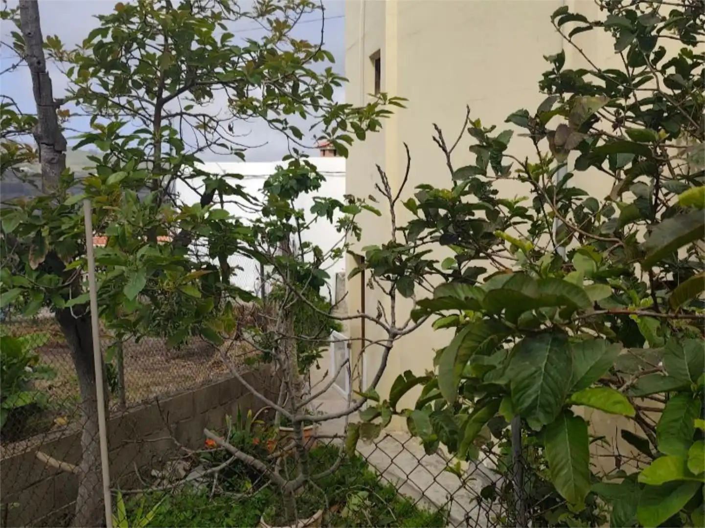 Piso en venta en Moya (Las Palmas)