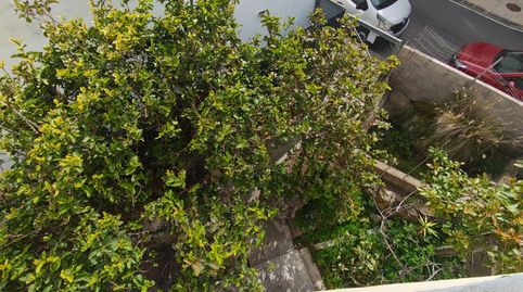 Foto 4 de Piso en venta en Calle Practicante M. González, 177, Moya (Las Palmas), Las Palmas