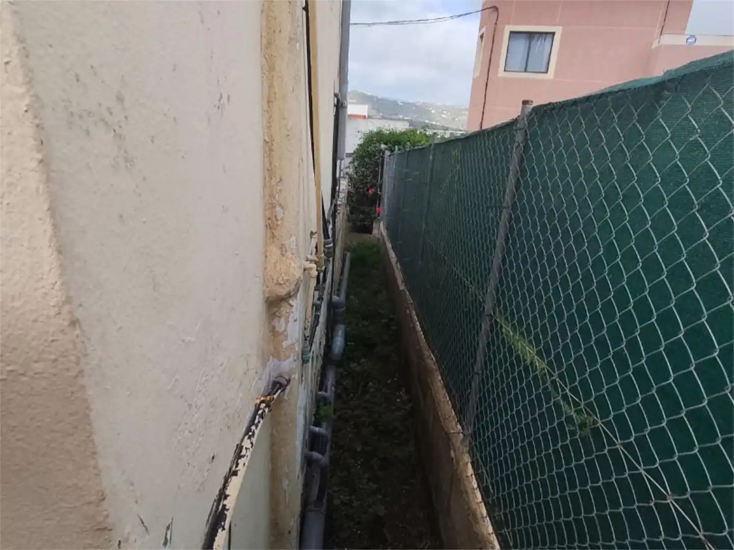 Exterior view of Flat for sale in Moya (Las Palmas)