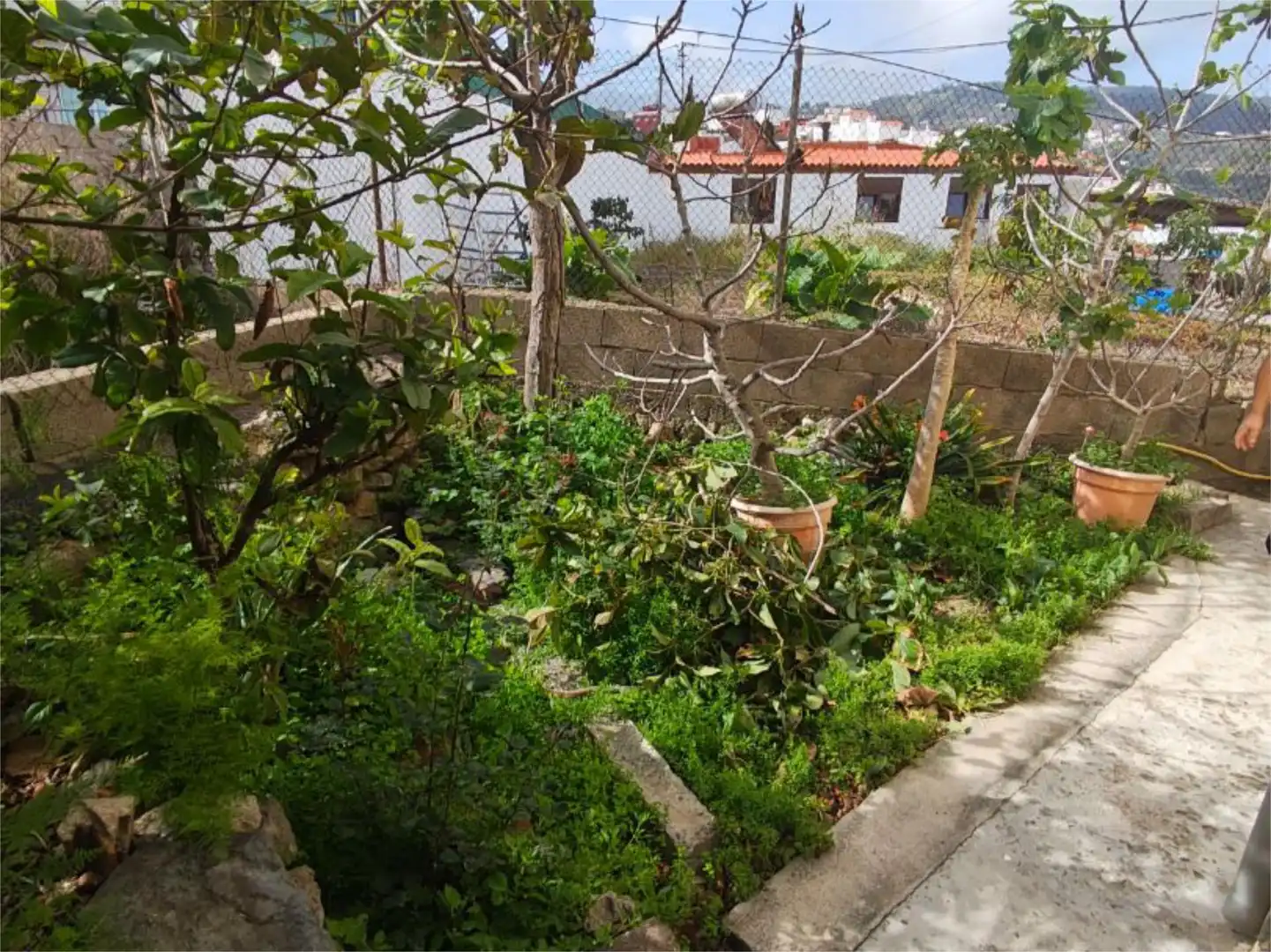 Garden of Flat for sale in Moya (Las Palmas)
