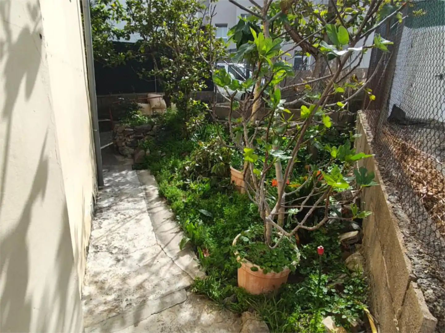 Garden of Flat for sale in Moya (Las Palmas)