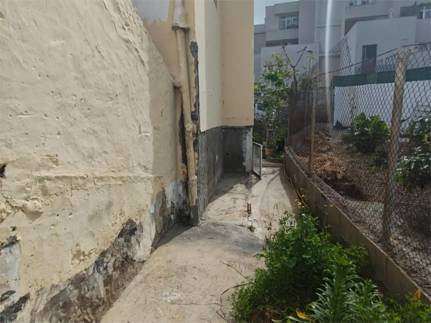 Exterior view of Flat for sale in Moya (Las Palmas)