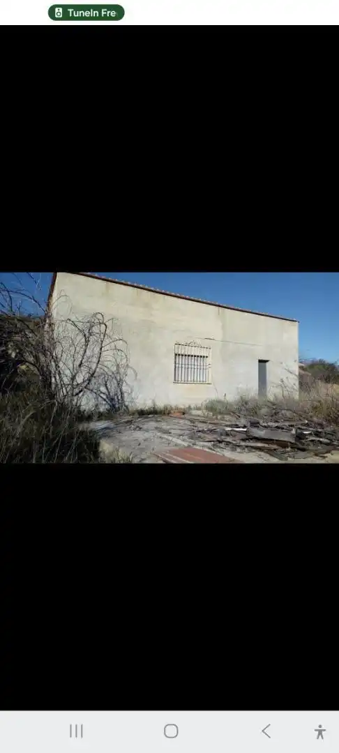 Vista exterior de Finca rústica en venta en Llíria