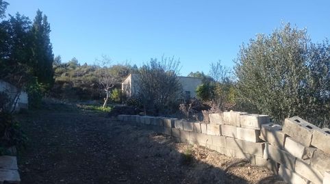 Finca rústica en venta en Diseminado P034, 106a, Santa Bárbara, Llíria - imagen 3 Foto 3 de Finca rústica en venta en Diseminado P034, 106a, Santa Bárbara, Llíria